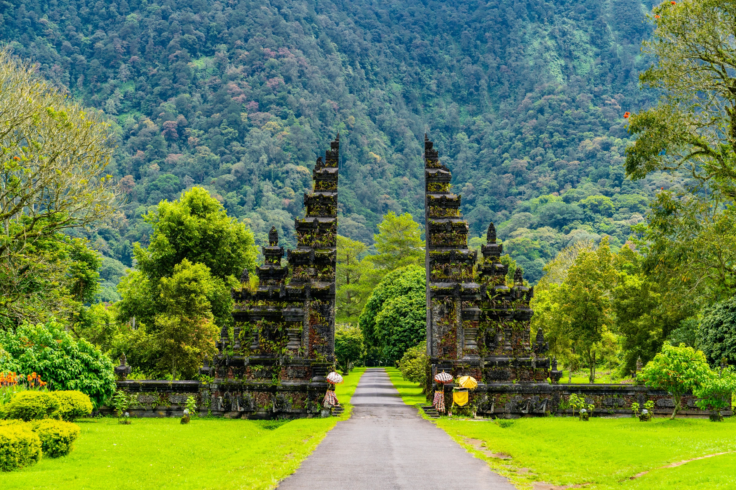 Bali[1].webp